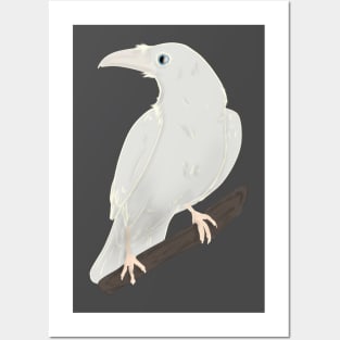 White Raven Posters and Art